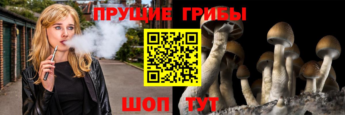 Нальчик  наркота  Вход с VPN  Галлюциногенные грибы Psilocybe 